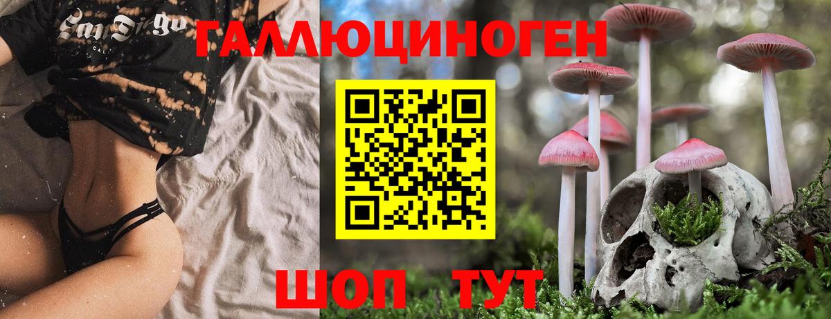 Галлюциногенные грибы MAGIC MUSHROOMS Сертолово